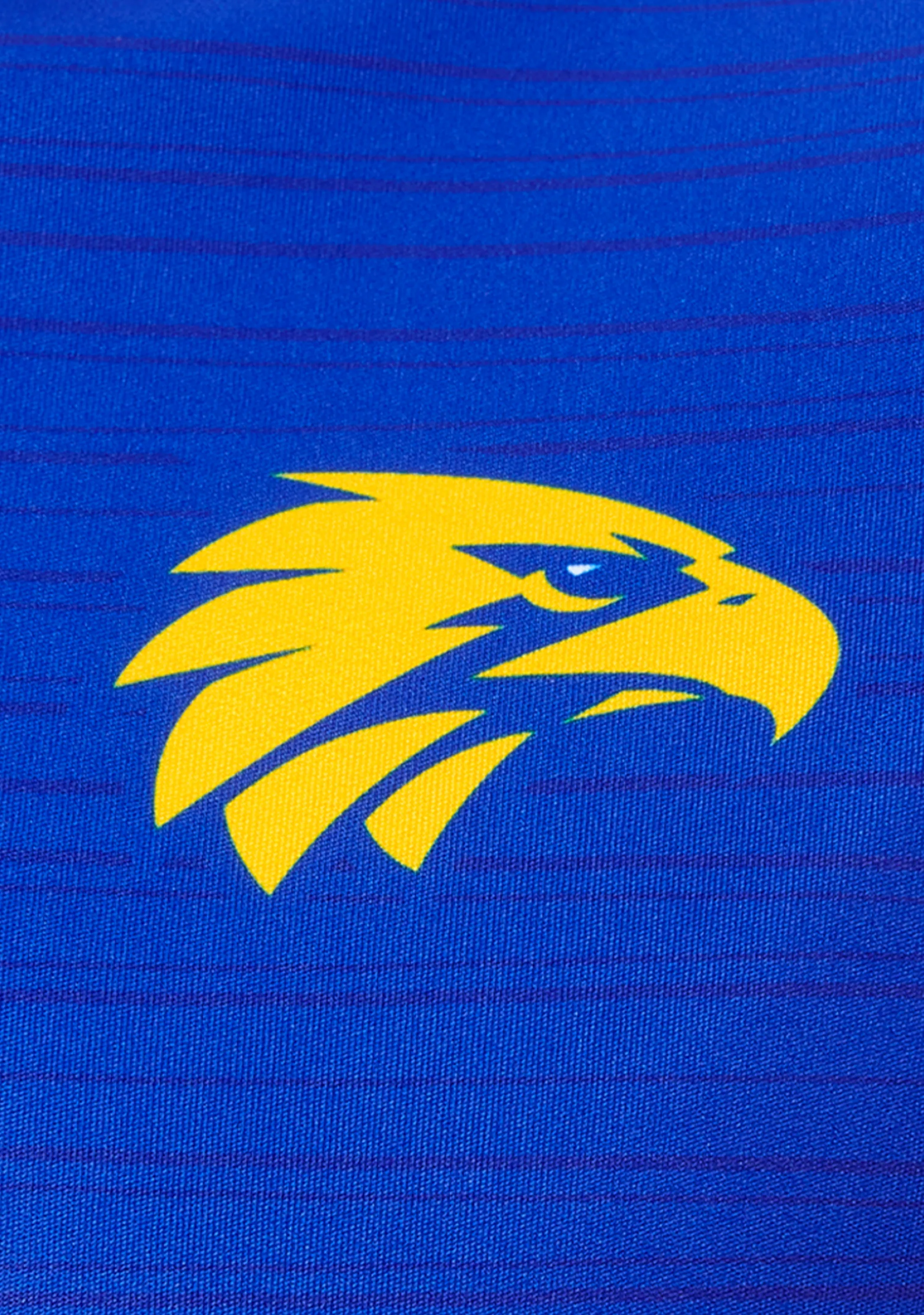 Castore West Coast Eagles Mens Training Tee 2022 <br> TM0476