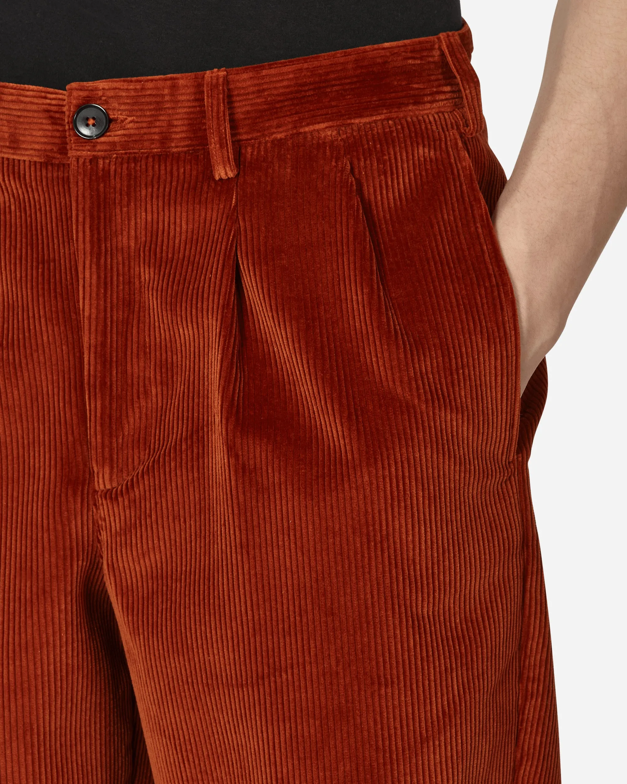 Double-Pleat Corduroy Pants Brown