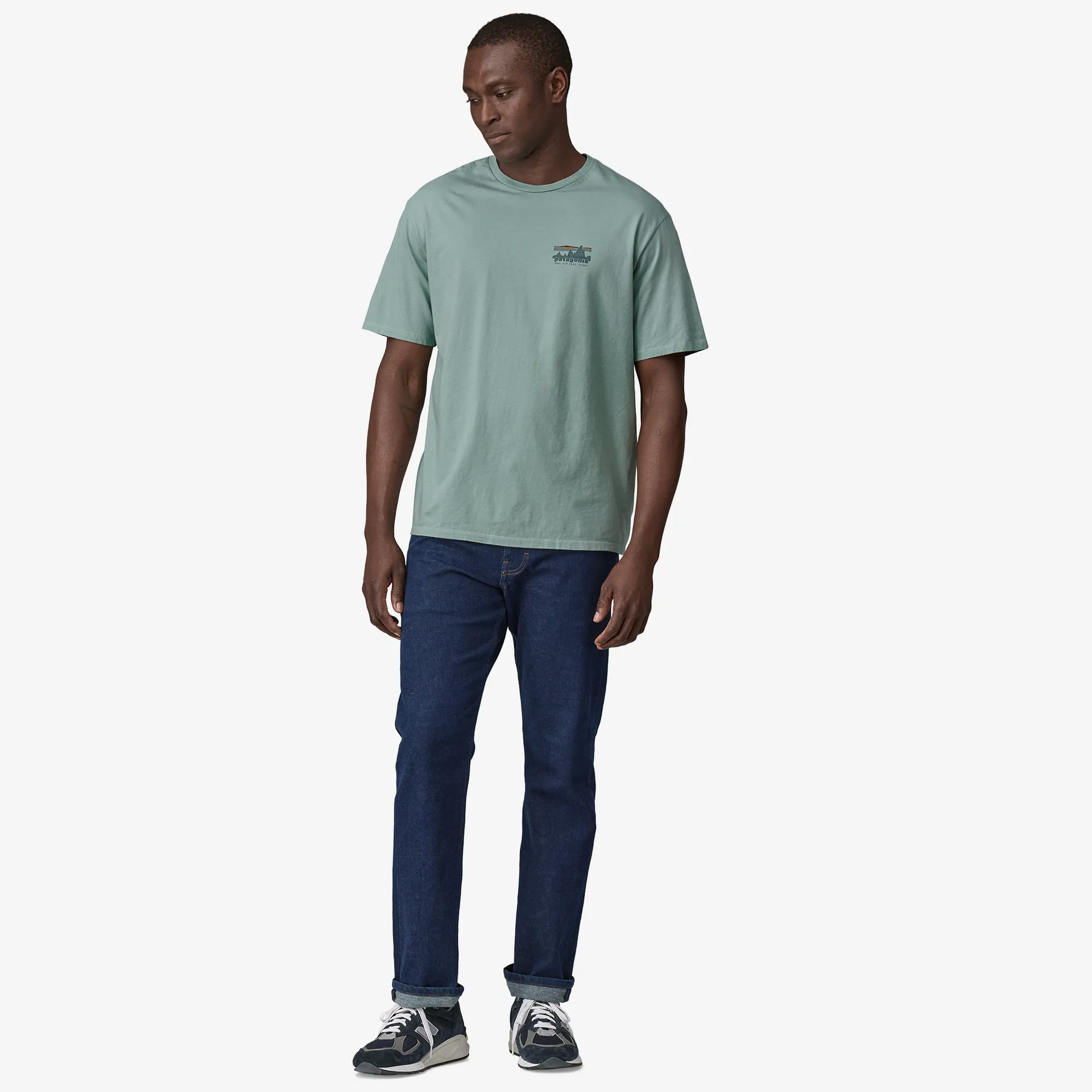 Patagonia Mens T-Shirts Men's '73 Skyline Organic T-Shirt