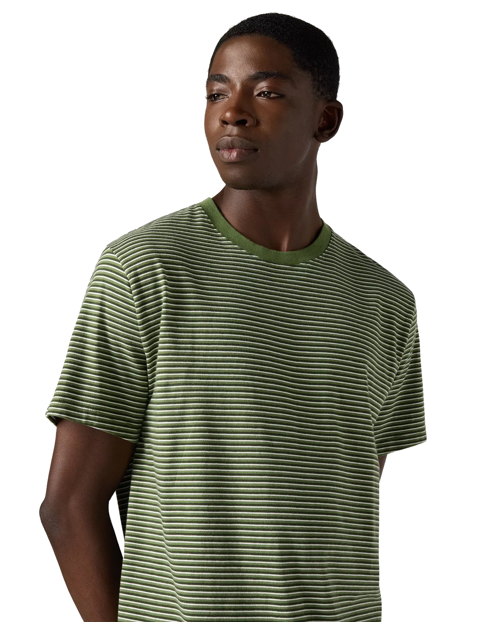 The Essential T-Shirt in Vent Stripe Vineyard Green